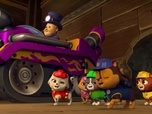 Replay Paw Patrol, la Pat'Patrouille - Sauvetage extrême : à la recherche des os en or