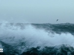 Replay Péril en haute mer - S13E13 - Tempête Arctique