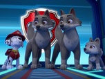 Replay Paw Patrol, la Pat'Patrouille - Le chanteur et les loups