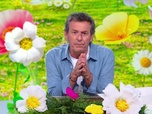 Replay Les 12 coups de midi du 31 mai 2026
