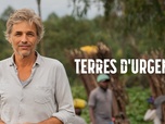 Replay Terres d'urgence - Sahara : les combattants du désert