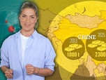 Replay Pourquoi les États ont-ils des réserves d'or ? - Le dessous des cartes - L'essentiel