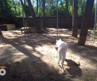 Replay Une saison au zoo - S12 E24