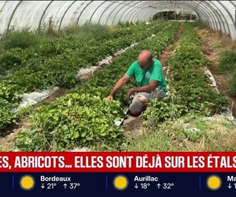 Replay BFM Première prématinale - Focus Régions - 27/05