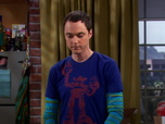 Replay The Big Bang Theory - S2E18 - Les fleurs de Penny