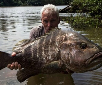 Replay River monsters - S9E4 - La terreur des îles volcaniques