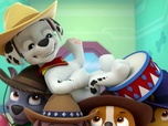 Replay Paw Patrol, la Pat'Patrouille - Le concours du meilleur chili
