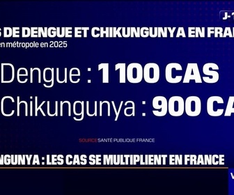 Replay Week-end première - Prolifération des moustiques tigre: 1.100 cas de dengue et 900 de chikungunya recensés en France en 2025