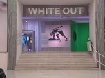 Replay ARTE Journal - Exposition : White Out. Winter Sports à Milan