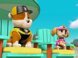 Replay Paw Patrol, la Pat'Patrouille - La Pat'Patrouille des mers : le bébé pieuvre