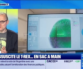 Replay Culture IA : L'IA ressuscite le T-rex... en sac à main, par Anthony Morel - 06/05