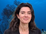 Replay 28 minutes - Fonds marins en danger ?