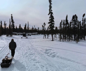 Replay Seuls face à l'Alaska S8 - S8E4 - La famille d'abord