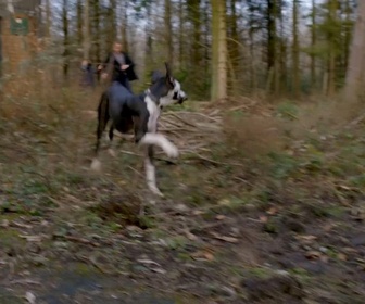 Replay Profilage - S8 E3 - Les héritiers (1/2)