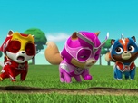 Replay Compilation Paw Patrol, la Pat'Patrouille 4