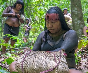 Replay La force des forêts - L'homme et la nature, une nouvelle alliance