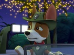 Replay Paw Patrol, la Pat'Patrouille - Super Chats : le rugissement du chat