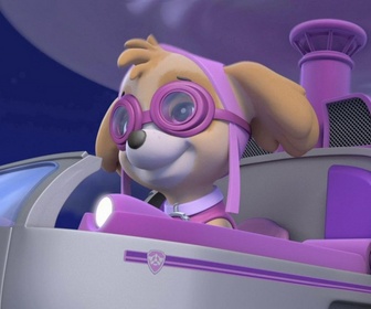 Replay Paw Patrol, la Pat'Patrouille - Un atterrissage forcé