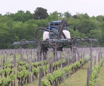 Replay ARTE Journal - Pesticides : les riverains des vignes surexposés