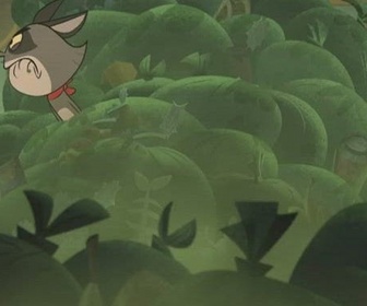 Replay Taffy - Le roi Kahuna Raccoona