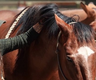 Replay Invitation au voyage - 04/02/2026 - Aux États-Unis, une Savoyarde impose son pantalon