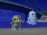 Replay Paw Patrol, la Pat'Patrouille - Froussette et ses amis
