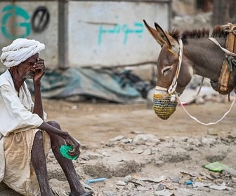 Replay Pénuries alimentaires mondiales - Soudan : Guerre, famine et indifférence
