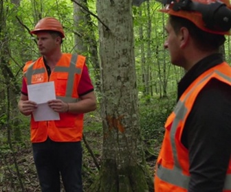 Bûcheron, un métier à hauts risques replay