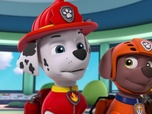 Replay Paw Patrol, la Pat'Patrouille - Monsieur Hellinger, pilote d'hélicoptère