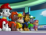 Replay Paw Patrol, la Pat'Patrouille - Madame Goodway à la ferme