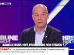 Replay BFM Politique - Dimanche 17 novembre 2024