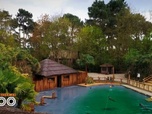 Replay Une saison au zoo - S13 E9