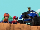 Replay Paw Patrol, la Pat'Patrouille - Mission Jungle : Une grande découverte
