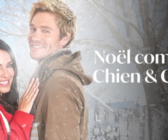 Replay Noël comme chien et chat