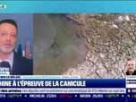 Replay Good Morning Business - La Chine à l'épreuve de la canicule