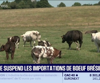 Replay Good Morning Business - L'UE suspend l'importation de bœuf brésilien