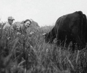 Replay Invitation au voyage - 02/03/2026 - Au Danemark, un pour tous, tous pour un