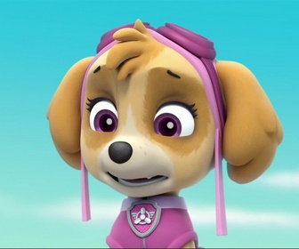 Replay Paw Patrol, la Pat'Patrouille - Maurice et Mauricette