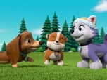 Replay Paw Patrol, la Pat'Patrouille - Liberty à la rescousse