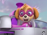 Replay Paw Patrol, la Pat'Patrouille - La ponette