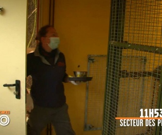 Replay Une saison au zoo - S13 E14