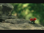 Replay Minuscule : la vallée des fourmis perdues - 17/03/2023