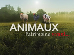 Replay La France en Vrai - Centre-Val de Loire