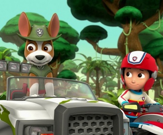 Replay Paw Patrol, la Pat'Patrouille - il faut sauver Monsieur le Maire