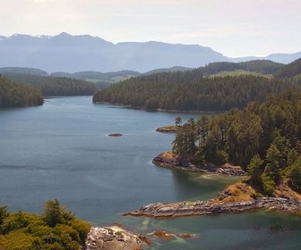 Replay La forêt côtière du pacifique - Canada, la force de la nature