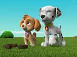 Replay Paw Patrol, la Pat'Patrouille - Le cygne gonflable