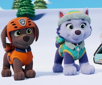 Replay Paw Patrol, la Pat'Patrouille - Les surfeurs des montagnes