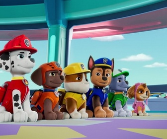 Replay Paw Patrol, la Pat'Patrouille - La grande parade des jumeaux