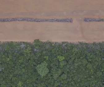 Replay Amazonie : un trésor en péril - Amazonie : la bioéconomie pour préserver la forêt