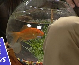 Replay Mes pires potes - épisode 03 - L'ami des bêtes #humour